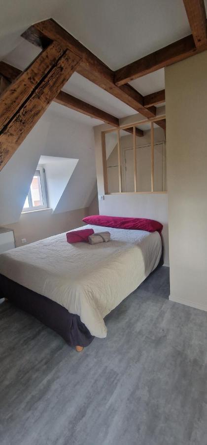 Henner Des Trois Frontieres Apartment Сен-Луи Екстериор снимка